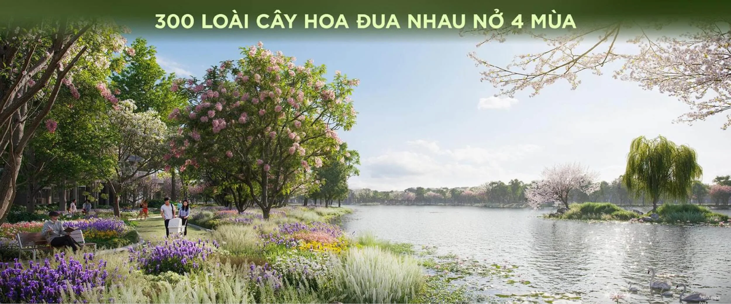 Eco Retreat 19 300 cay loai hoa dua nhau no khap 4 mua