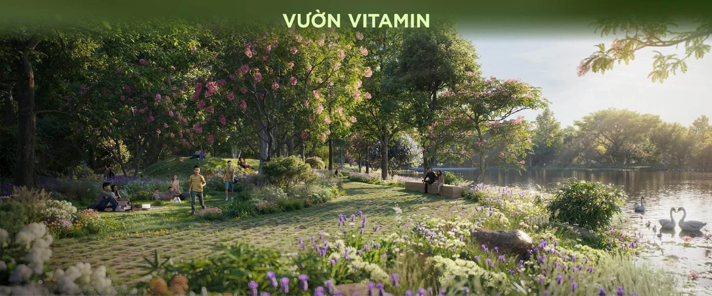 Eco Retreat 12 vuon vitamin 1